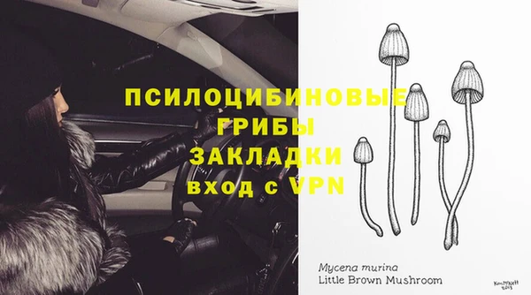 a pvp Алзамай