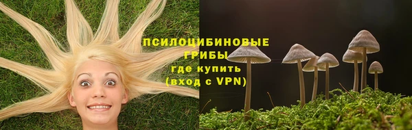 a pvp Алзамай