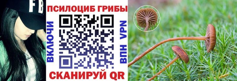 Галлюциногенные грибы MAGIC MUSHROOMS  OMG   Арзамас 